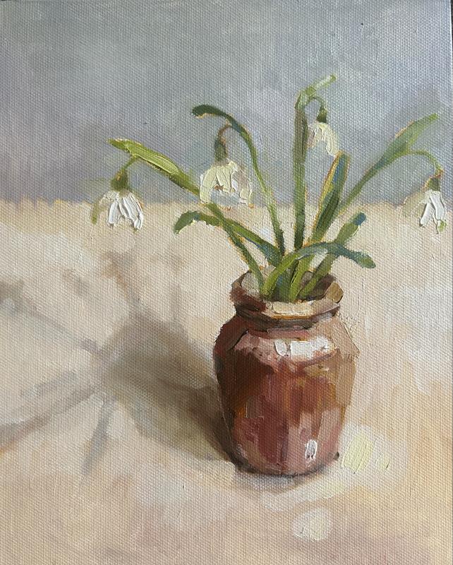 Snowdrops and shadows